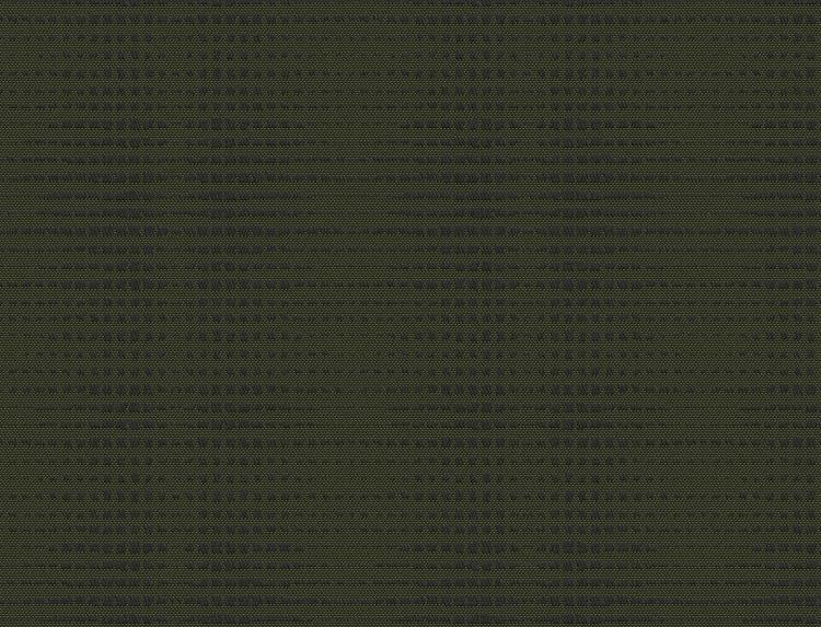OD11312.jpg